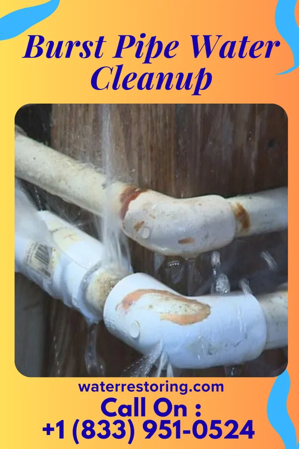 Burst Pipe Water Cleanup in Green Hill, IN
