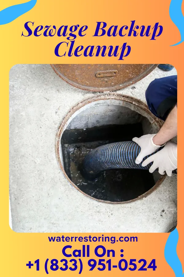 Sewage Backup Cleanup in Green Hill, IN