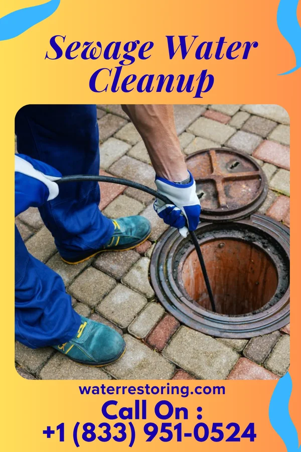 Sewage Water Cleanup in Green Hill, IN