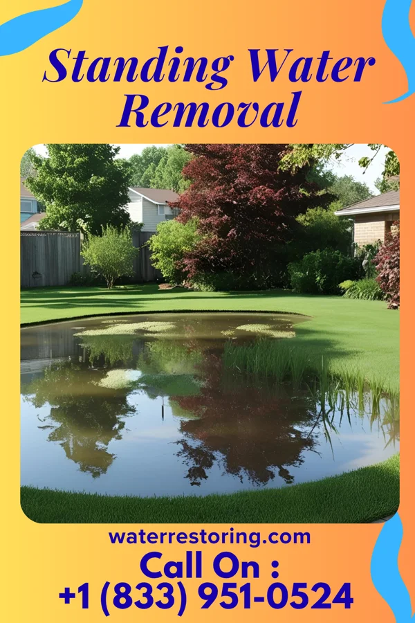 Standing Water Removal in Green Hill, IN